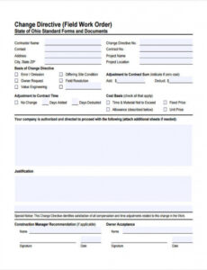 Editable Field Change Order Template Doc Example